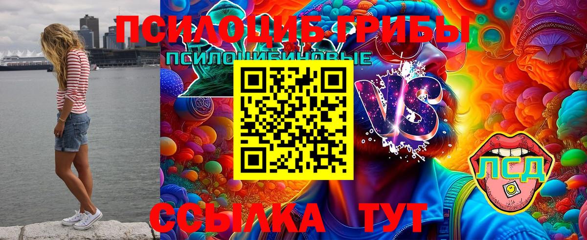 Галлюциногенные грибы Psilocybe  Галлюциногенные грибы прущие грибы  Видное  где найти наркотики  Вход с VPN 