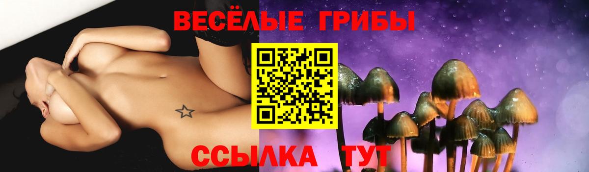 Галлюциногенные грибы Psilocybe Видное